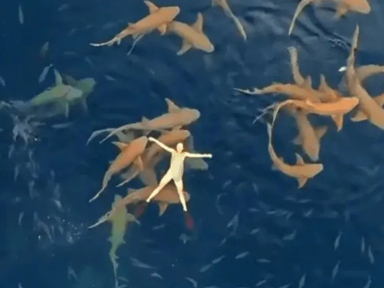 Think You've Seen It All? These Drone Photos Prove Otherwise!