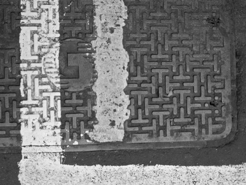 Dog Looks Down Drain Every Day Until Bystanders See What She's Looking At