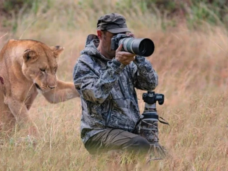 Lion Seeks Help from Photographer - The Unbelievable Truth Revealed