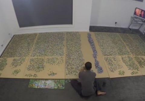 Wow! This man spends 9 months working on a giant jigsaw puzzle and the result is amazing!