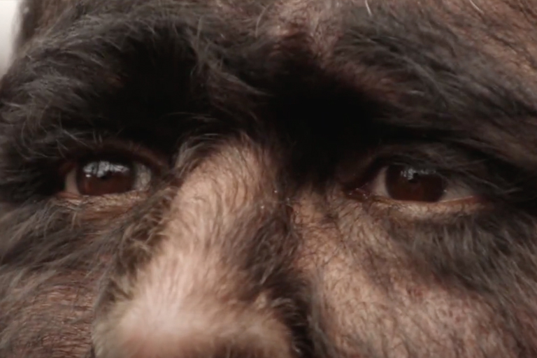 Hairiest family in the world shares shocking news