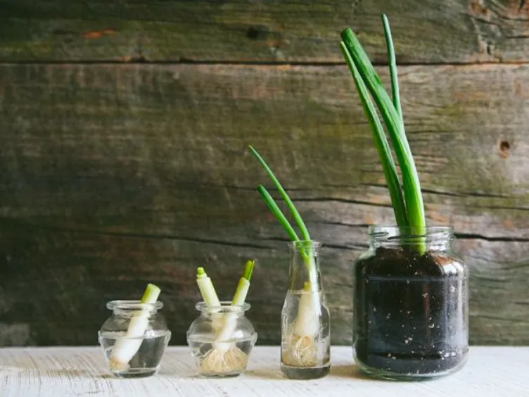 Unlock the Magic: 41 Kitchen Saving Hacks Everyone Must Know!