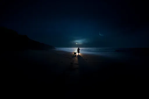 What Happened to the Girl Who Fell Asleep on the Beach?