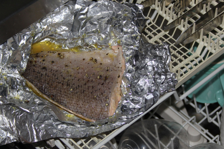 She put uncooked salmon in her dishwasher, the result will blow you away