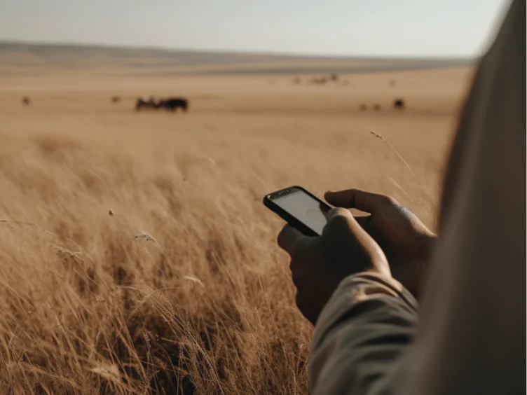 Lion Seeks Help from Photographer - The Unbelievable Truth Revealed