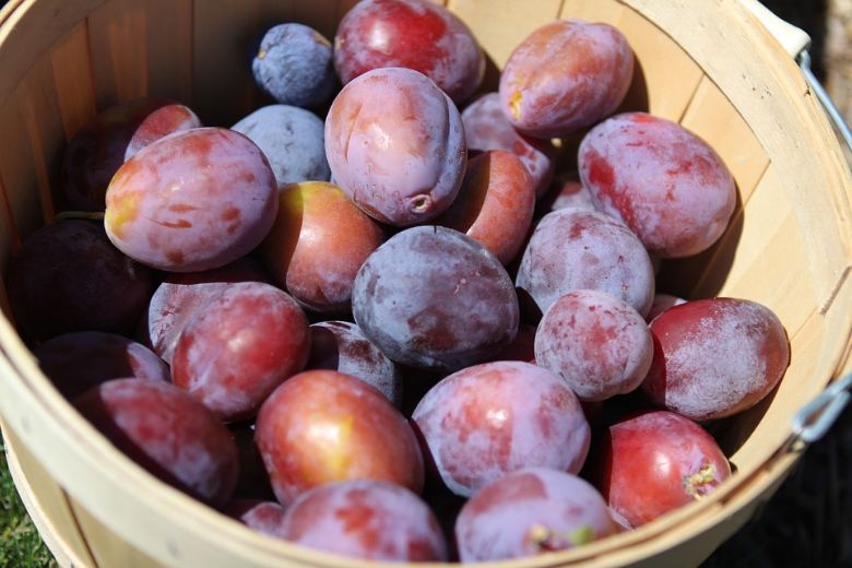 These 3 fruits will help you get rid of that bloated feeling