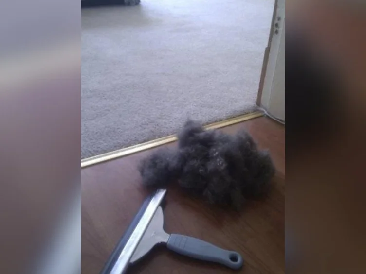 Cleaning Tips to Help You Work Smarter, Not Harder