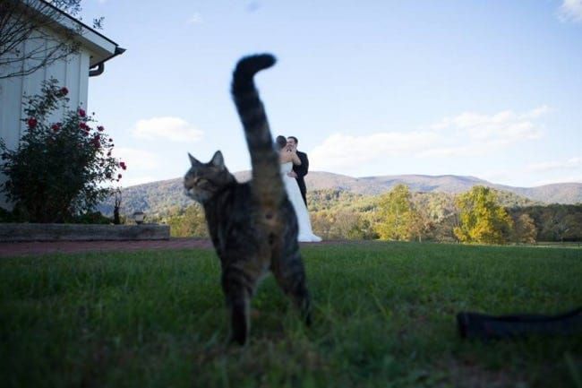 Crazy Wedding Moments Caught On Camera