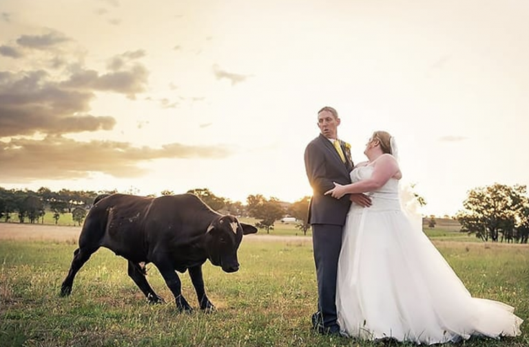 Crazy Wedding Moments Caught On Camera