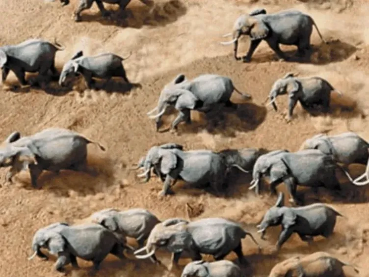 Think You've Seen It All? These Drone Photos Prove Otherwise!