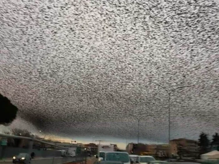 Chills and Thrills: Unbelievable Photos You'll Have to See Twice!