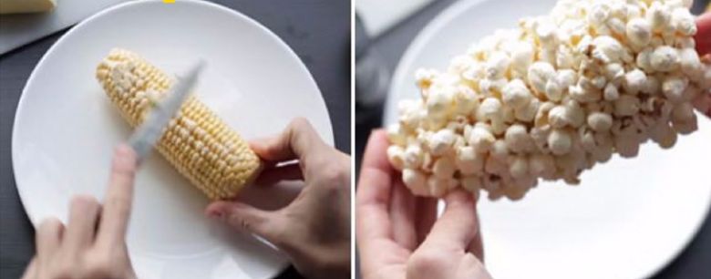 Kaum zu glauben, aber wahr: Popcorn am Maiskolben!