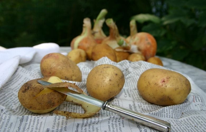 Schmeißt du Kartoffelschalen immer weg? Mach doch lieber was Leckeres draus