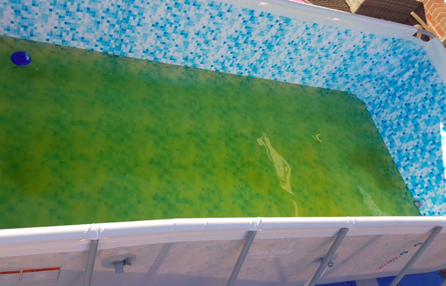 Mit dieser Behandlung wird trübes oder grünes Poolwasser wieder klar