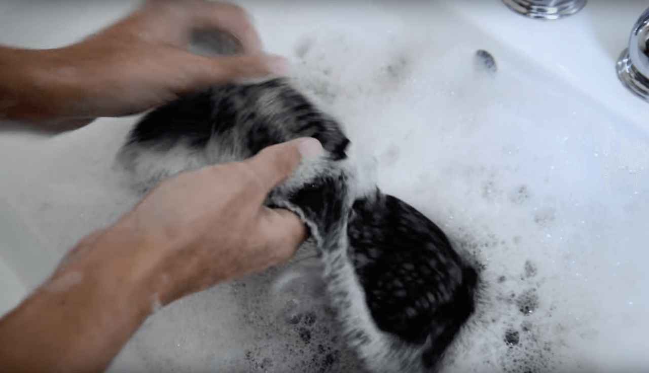 Wenn hartnäckiger Schweißgeruch einfach nicht aus deiner Kleidung geht