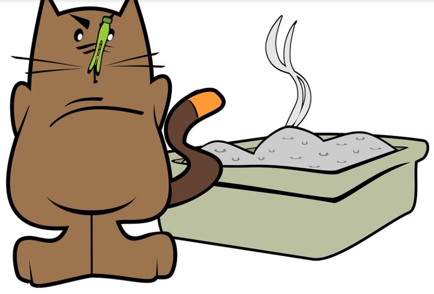 Was WIRKLICH gegen Geruch auf dem Katzenklo hilft! Genial!