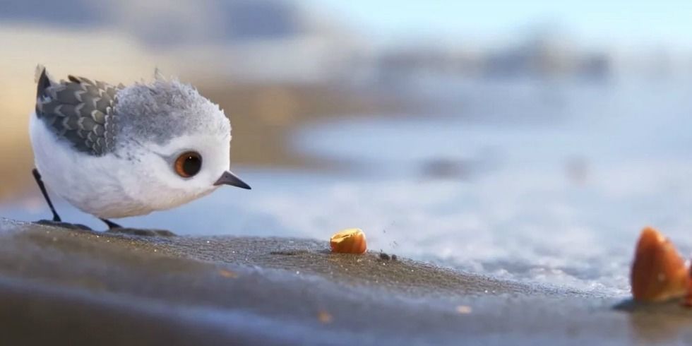 Der neueste Kurzfilm 'Piper' von Pixar ist wirklich herzerwärmend! Den musst du dir ansehen!