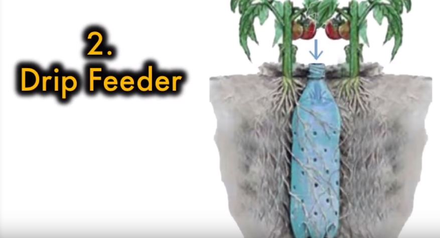 Sie verwendet leere Plastikflaschen im Garten. Sieh dir nur mal diese Effekte an! Schlau!