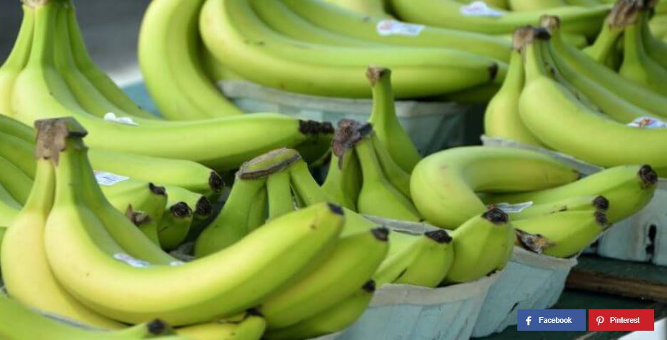 Mit diesem Trick werden unreife Bananen innerhalb von einer Stunde reif.