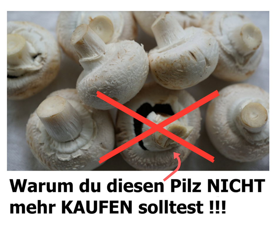 Du kaufst Pilze die SO aussehen? Das solltest du besser NICHT tun!