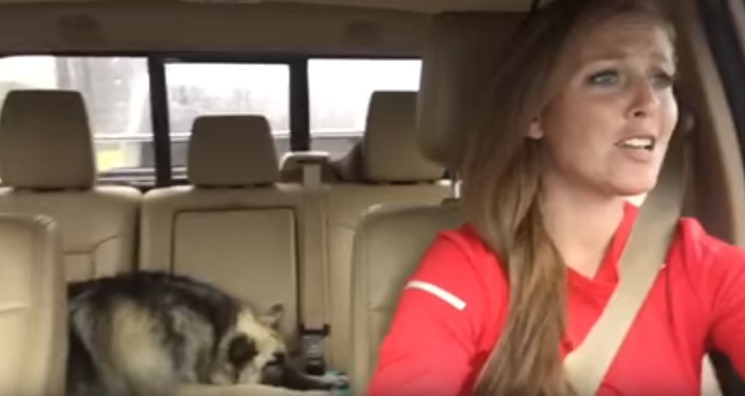 Dieses Video geht viral: endlich bist du im Auto eingeschlafen, da hörst du plötzlich dein Lieblingslied im Radio!