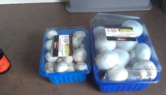 Häh?! Also DAS macht man mit dem Dosendeckel der Champignons!