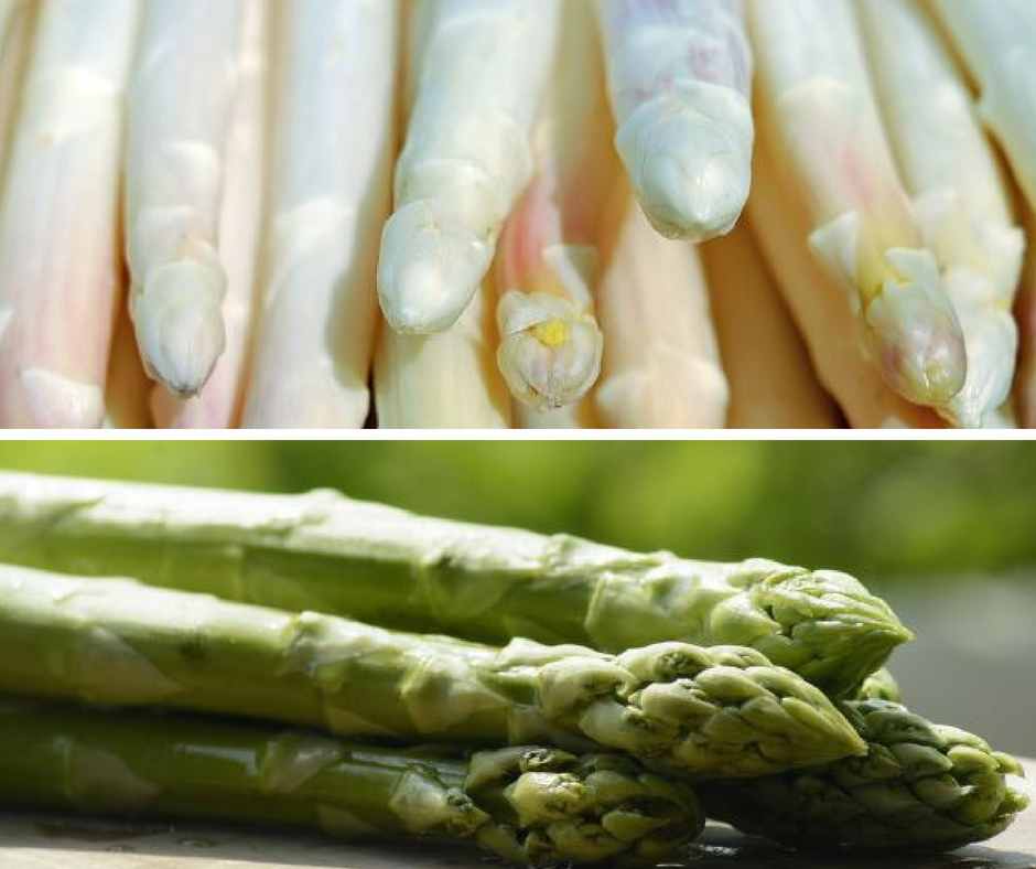 Grüner vs. weißer Spargel: diese 5 Unterschiede kennen nur die wenigsten