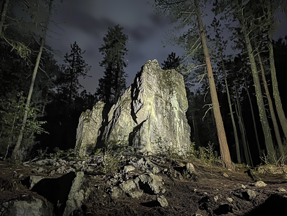 Sein Hund lief unerwartet in den Wald - als er ihn schließlich fand, wurde ihm kalt ums Herz!