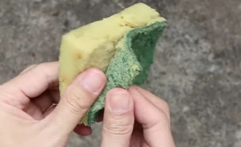 Ist dein Gartenschlauch mit Algen verstopft? Ein Schwamm spült alles sofort durch!