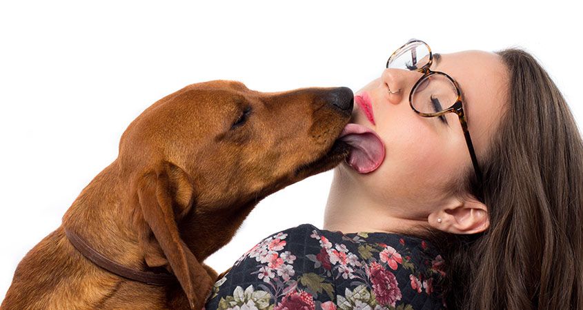 VIDEO: Erlaubst du deinem Hund dich im Gesicht abzulecken? DESWEGEN solltest du das ab jetzt verbieten!