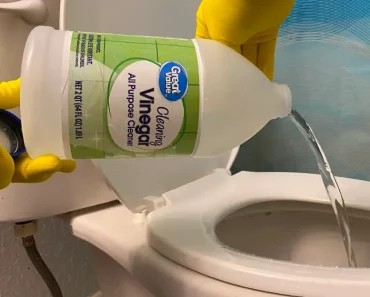 Legen Sie ein Essigtuch in Ihre Toilette und werden Sie Zeuge der Magie!