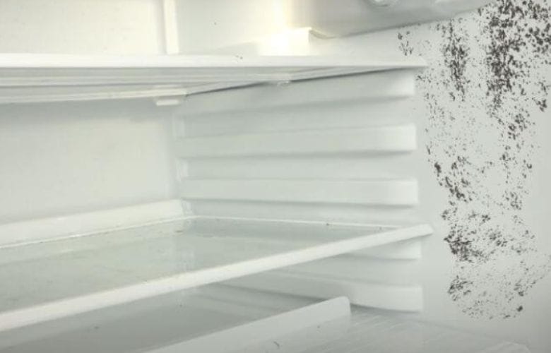 Schimmel im Kühlschrank? Mit diesem schnellen Trick bist du ihn sofort los.