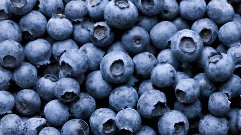Das passiert, wenn du jede Woche Blaubeeren isst. Heftig!
