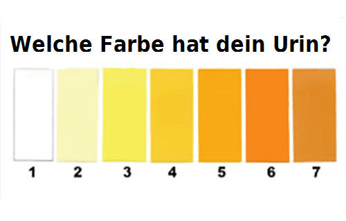 DAS sagt die Farbe deines Urins über deine Gesundheit aus! Das solltest du wissen!