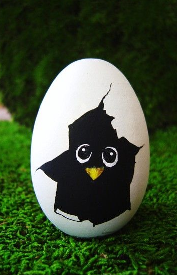 Eier Vogel schwarz