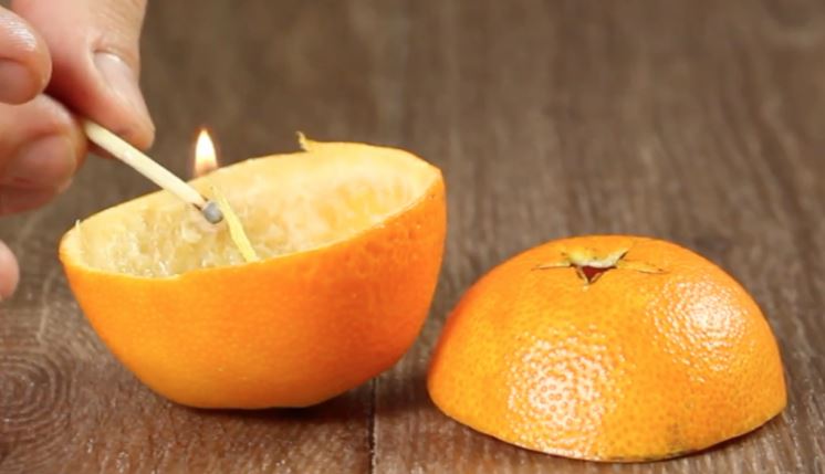 Mandarine 5