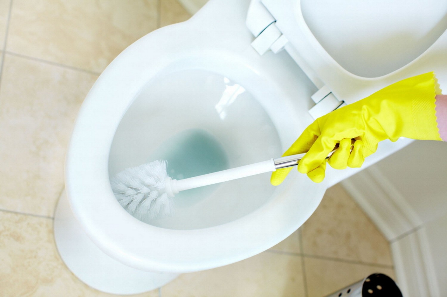 Warnung: Machst du dein WC mit Scheuermittel oder Chlor sauber? Dann lies das mal...