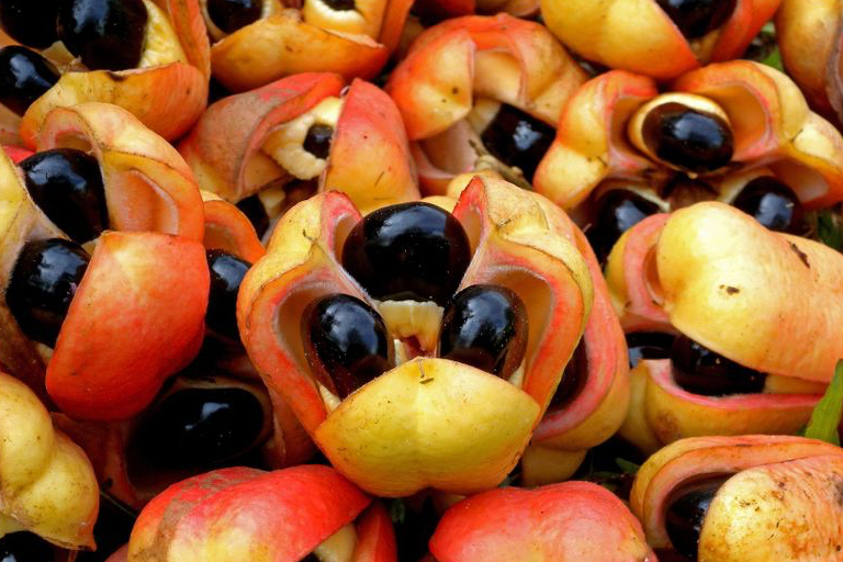 20 Uncommon Fruits From Around The World
