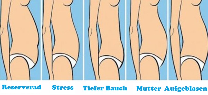 Dein Bauchtyp verrät dir so manches darüber wie und wodurch du abnimmst.