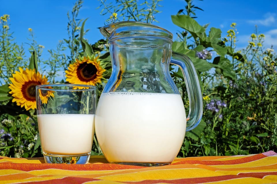 Was ist eigentlich gesünder: Sojamilch oder Kuhmilch?