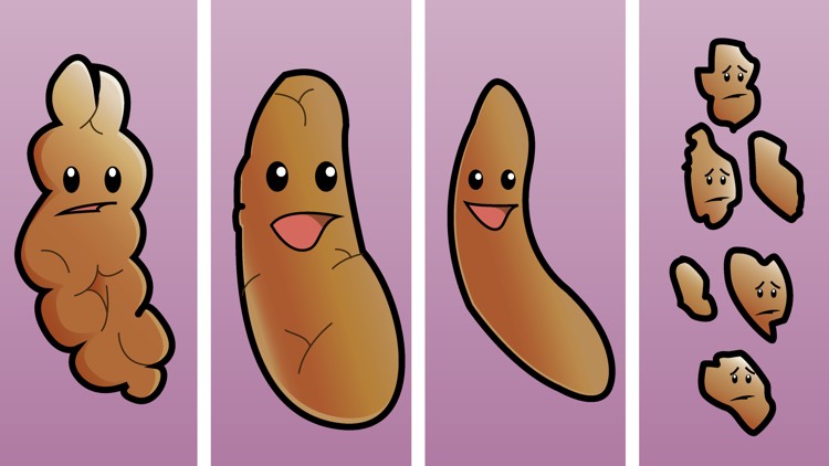 So sollte laut Gesundheits-Experten dein 'Stuhlgang' aussehen, wenn du gesund bist.