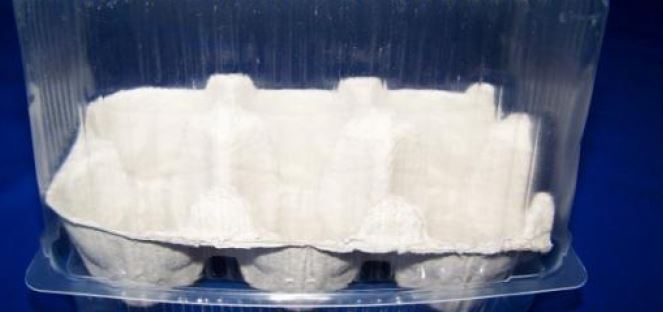 Mini Gewächshaus für kleine Pflänzchen selbstgemacht