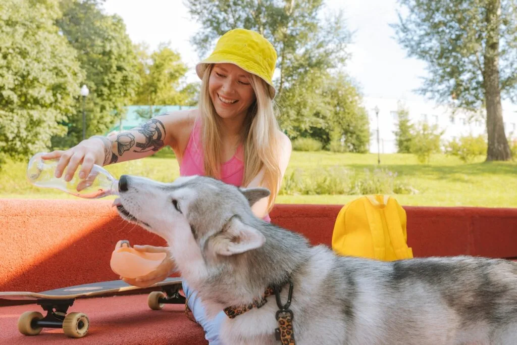 7 Words That Dogs Can Understand (And 4 That No Dog Can)