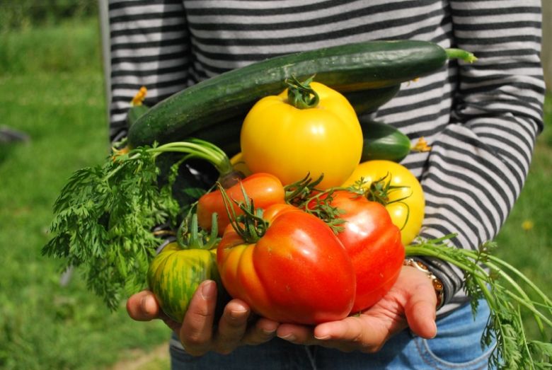 Schlechte Nachrichten: Gemüse und Obst wird sehr viel teurer
