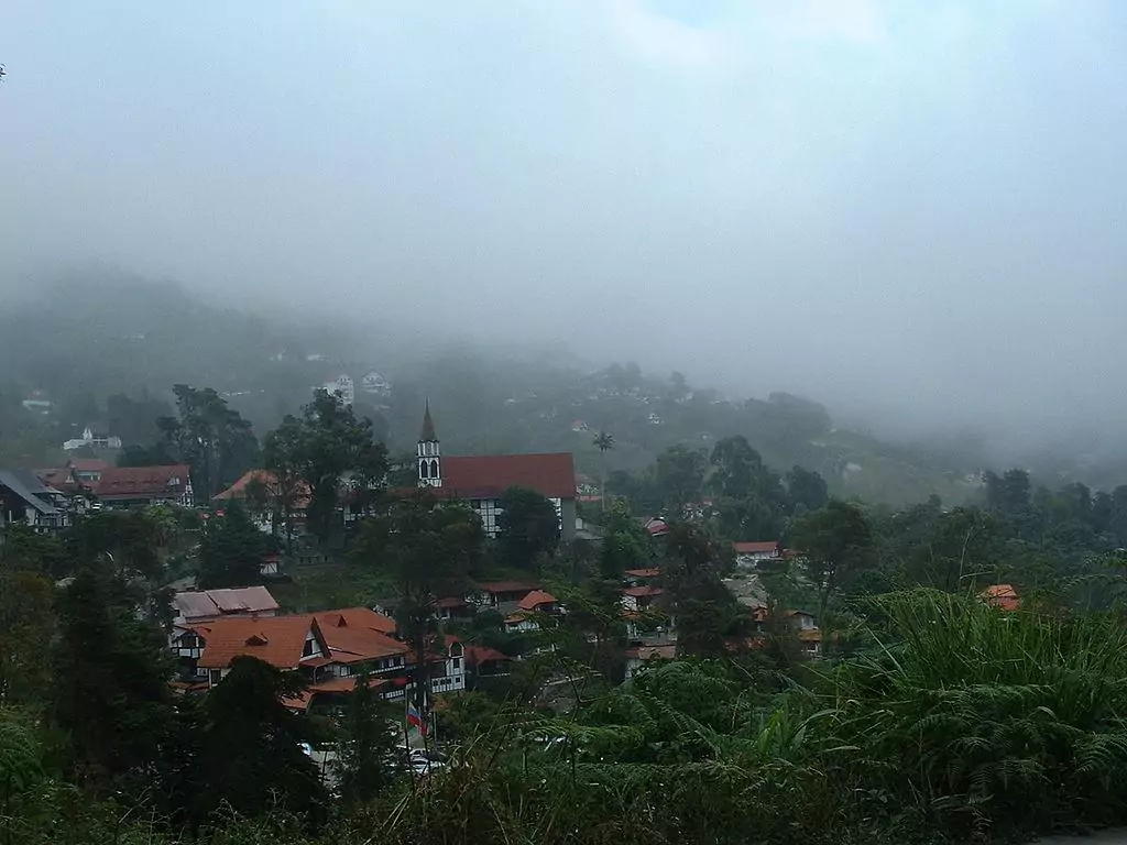 Wie ein komplettes deutsches Dorf im Amazonas-Regenwald verborgen lag