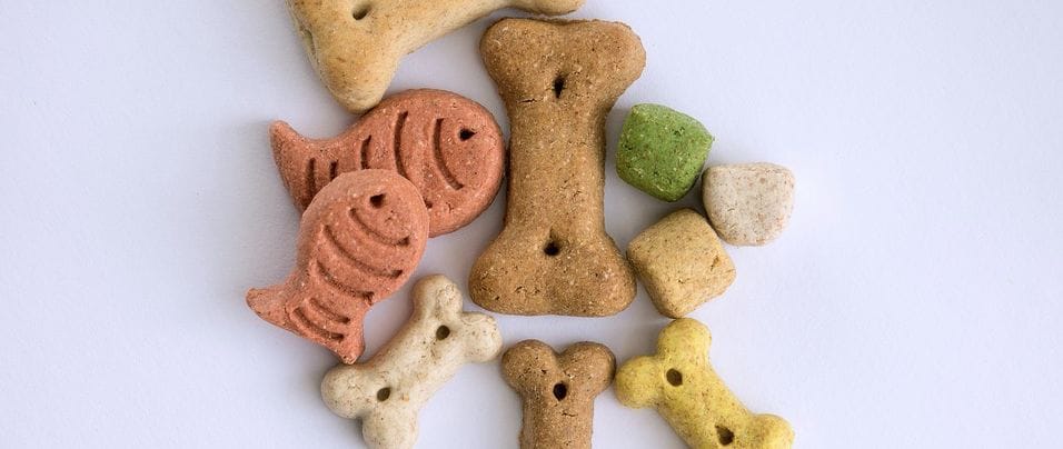 Wissen was drin ist: Hunde Leckerlis zum Selberbacken.