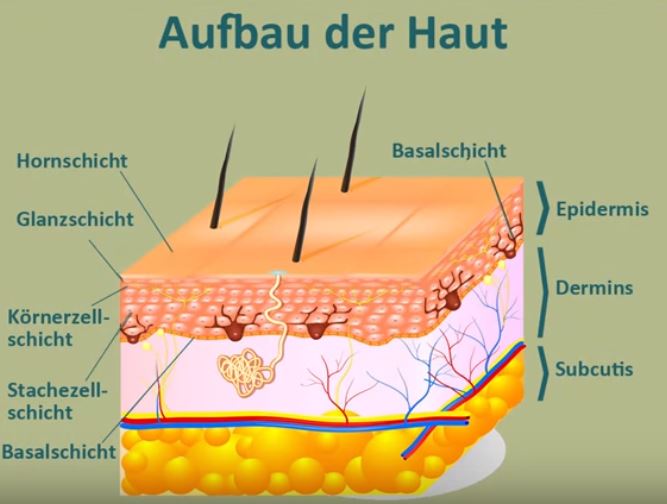 Narbenpflege: so behandelst du deine Narben richtig