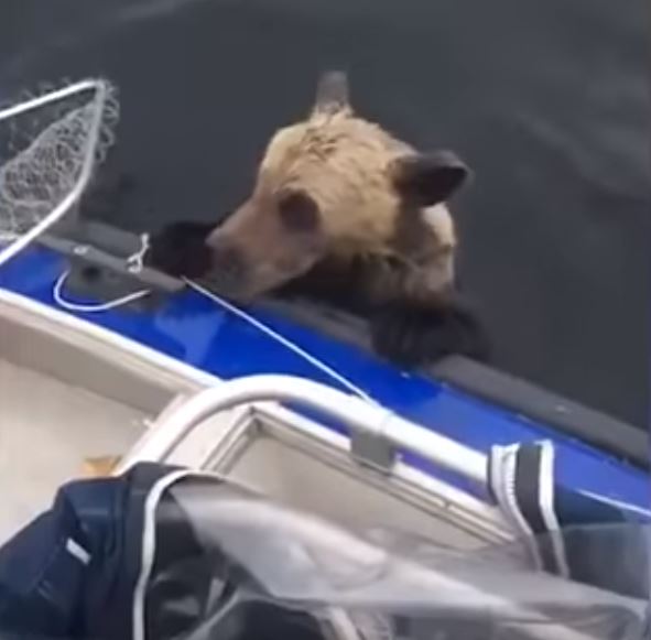Bärenmutter Kind am Boot