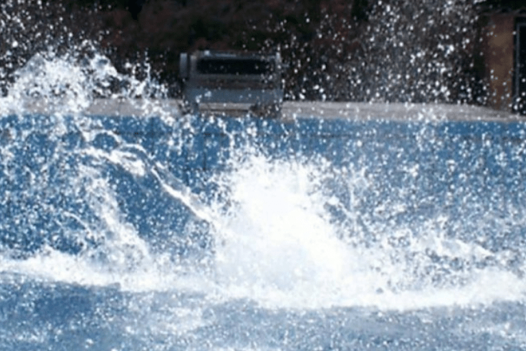 Mutter hört Eintauchen in Pool und findet riesiges Tier darin!