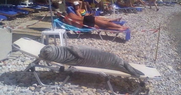 Die 27 lustigsten Strandbilder (von denen einige zu weit gehen...)